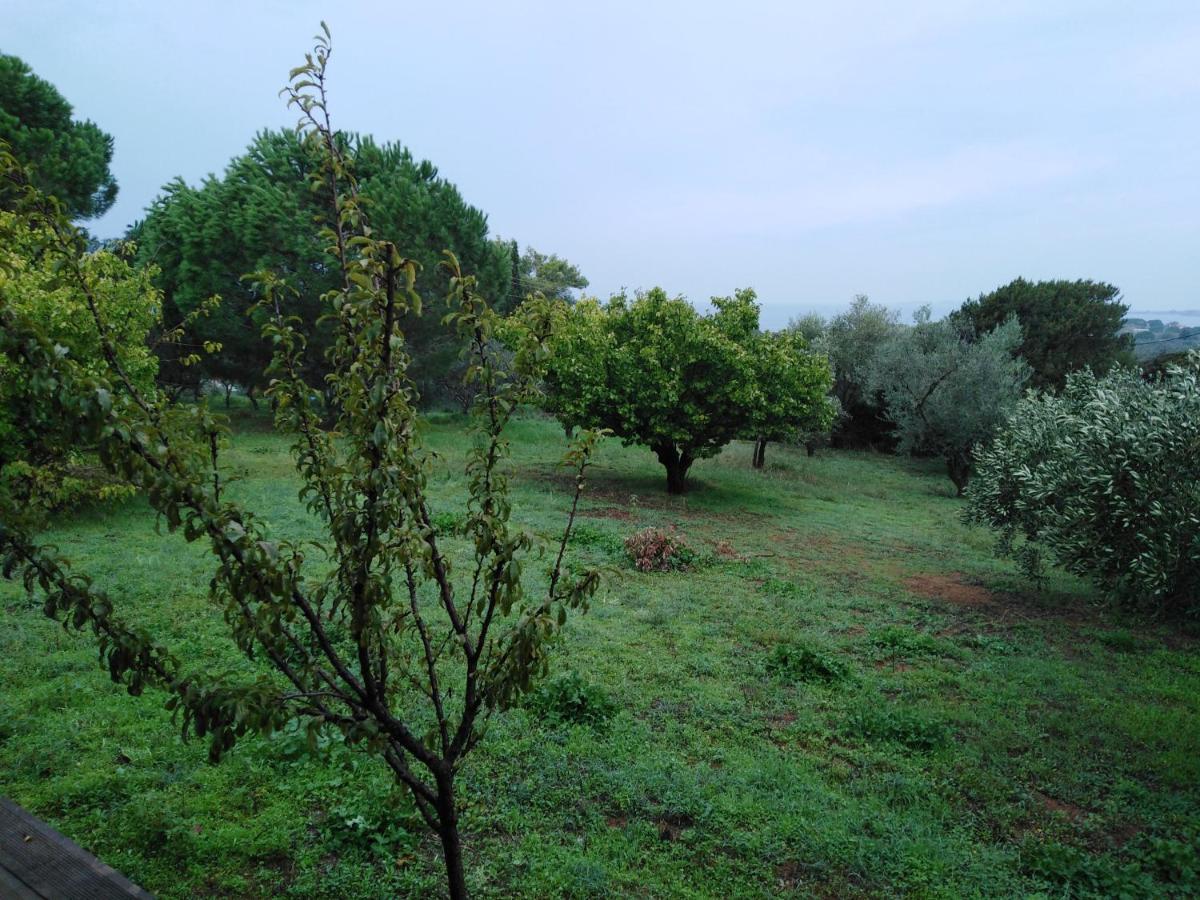 Villa Aliki Petrochori (Peloponnese) Exterior foto