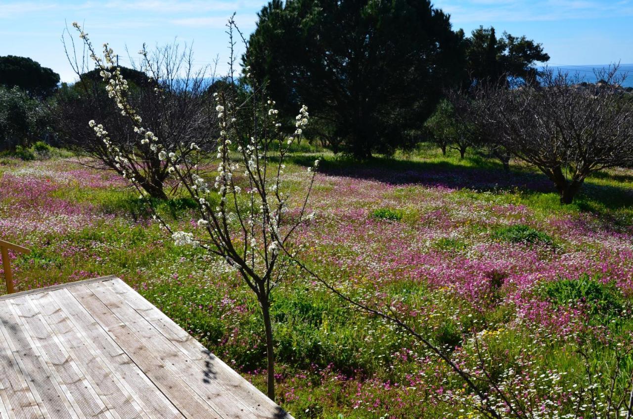 Villa Aliki Petrochori (Peloponnese) Exterior foto